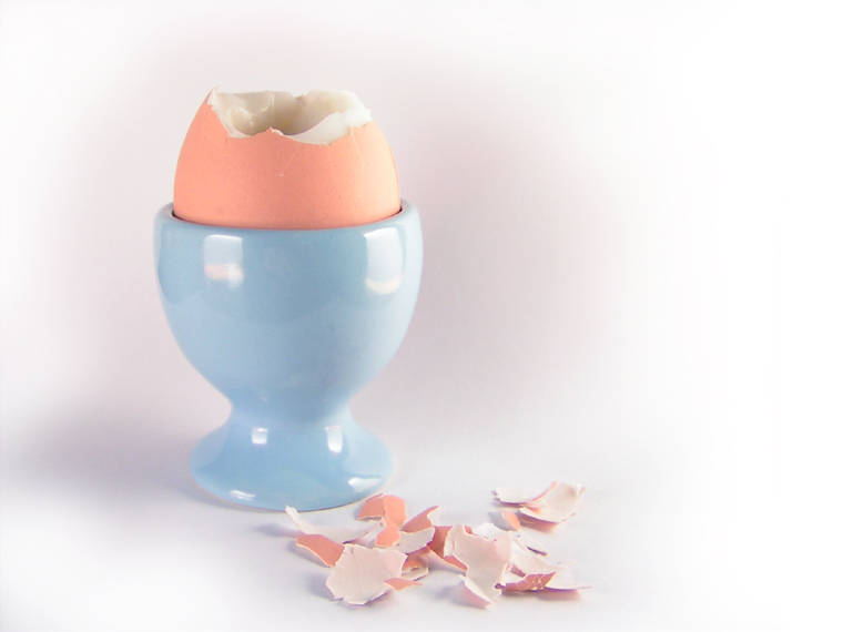 Egg