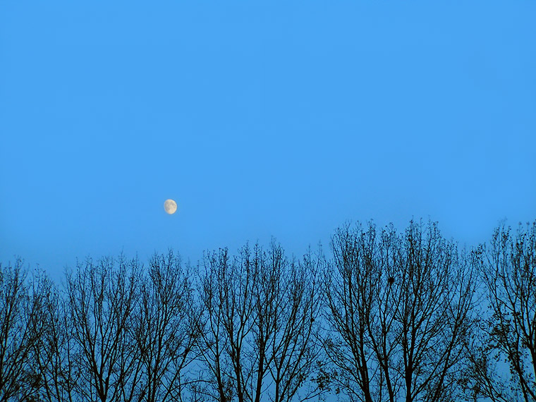 Blue moon