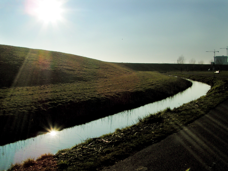 Sunny afternoon 2