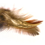 20090930