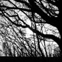 20100319