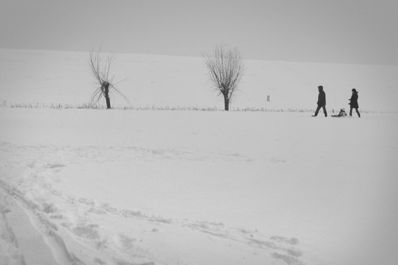 Winter walk