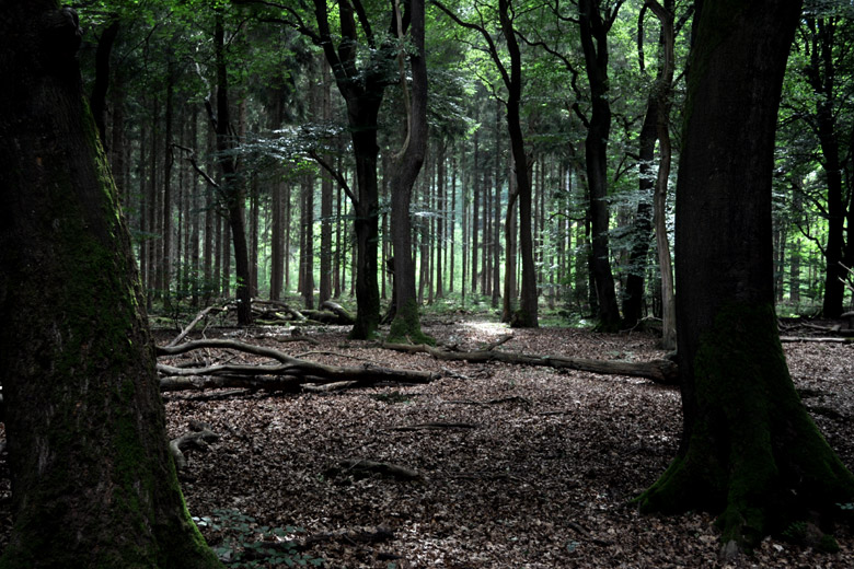 Veluwe, NL